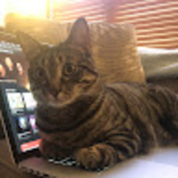 Meet your Posher, Claudia - Picture 1 of 1